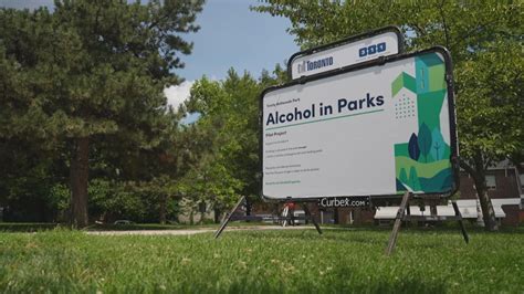 Toronto’s alcohol in parks pilot ends with few official complaints. What’s next?